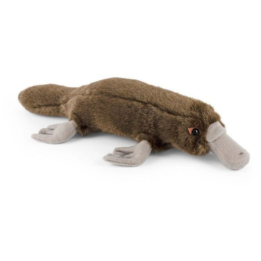 Living Nature Platypus