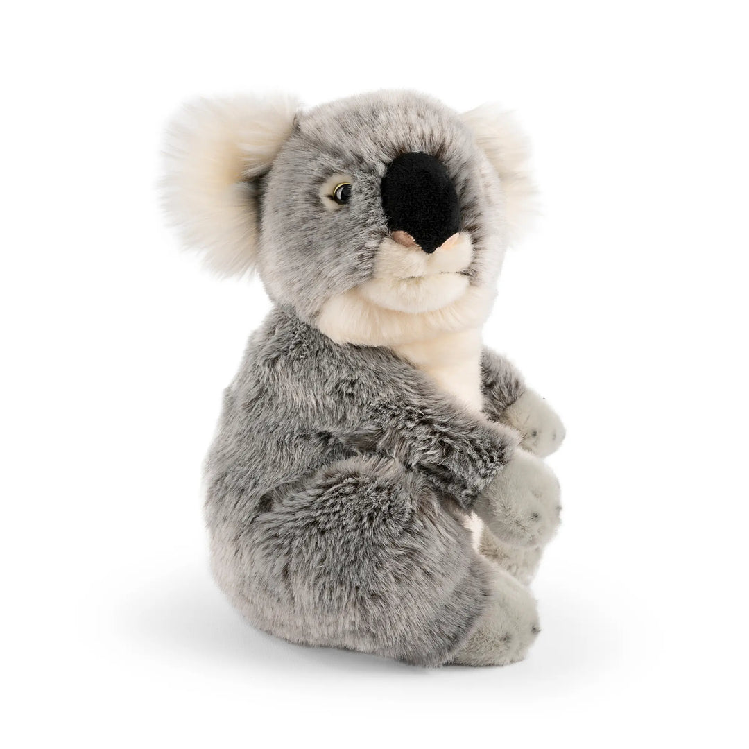 Living Nature Koala