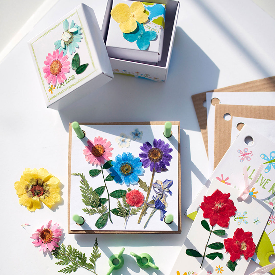 4M Pressed Flower Art Kit