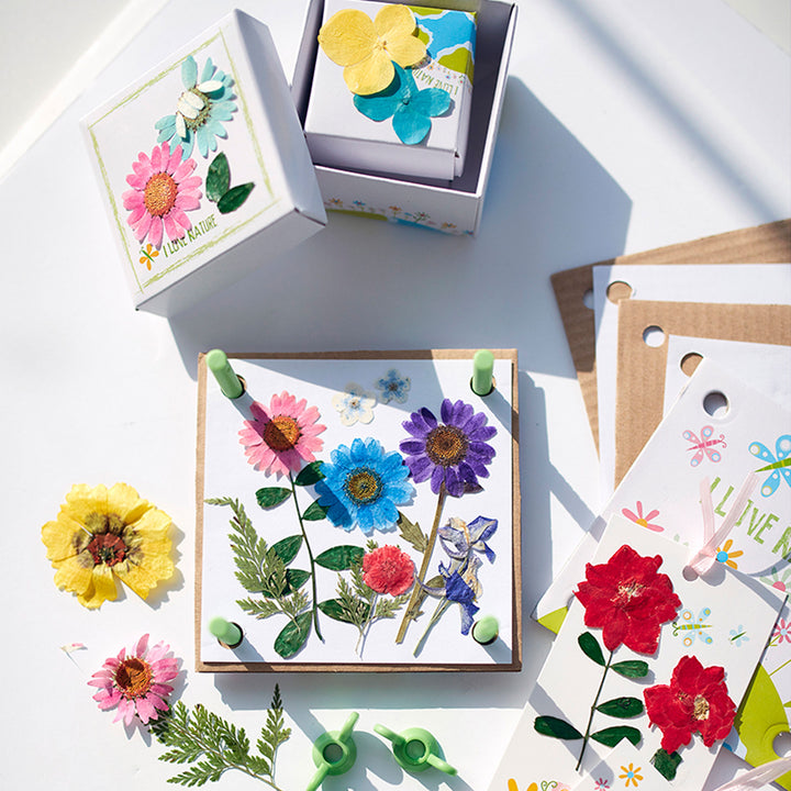 4M Pressed Flower Art Kit