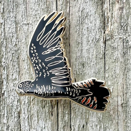 Red-tailed Black Cockatoo in Flight - Lapel Pin