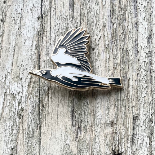 Australian Magpie in Flight - Lapel Pin