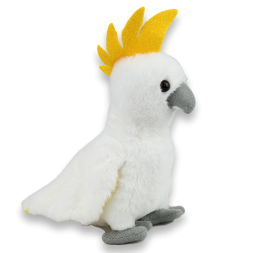 Screeching Cockatoo