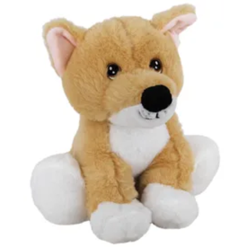 Eco Dingo Sitting
