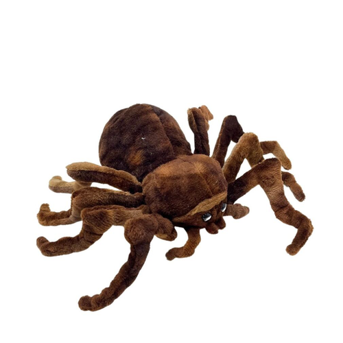 Brown Spider