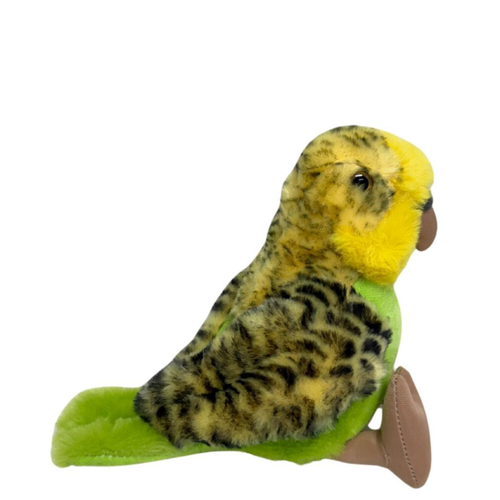 Budgerigar with Sound - Large