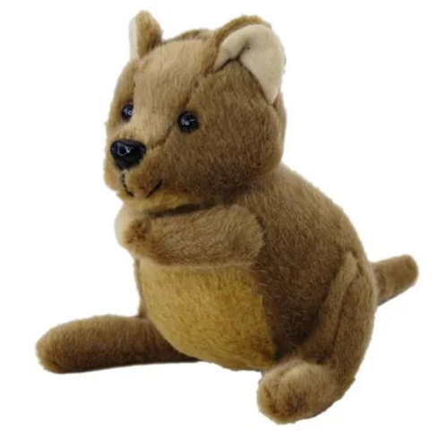 Eco Quokka