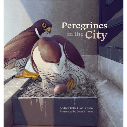 Peregrines in the City
