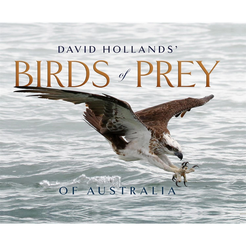 Birds of Prey