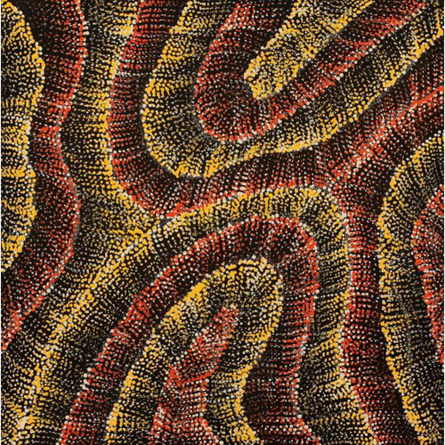 Painting Debbie Napaljarri Brown/Wanakiji Jukurrpa/Bush Tomato Dreaming