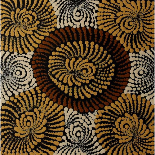 Painting Maria Nampijinpa Brown/Pamapardu Jukurrpa/Flying Ant Dreaming