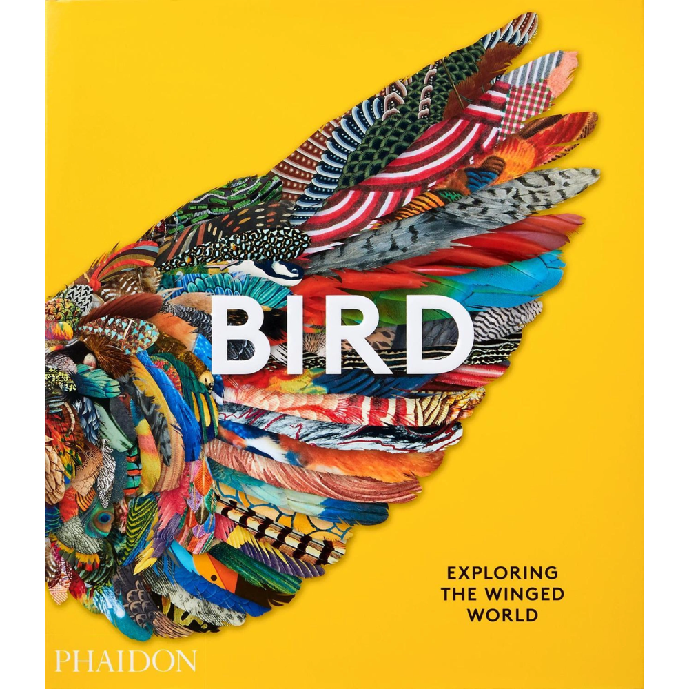 Bird: Exploring the Winged World