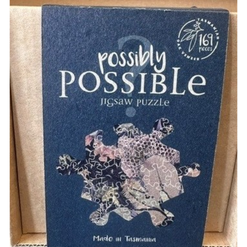 Possibly Possible Puzzle