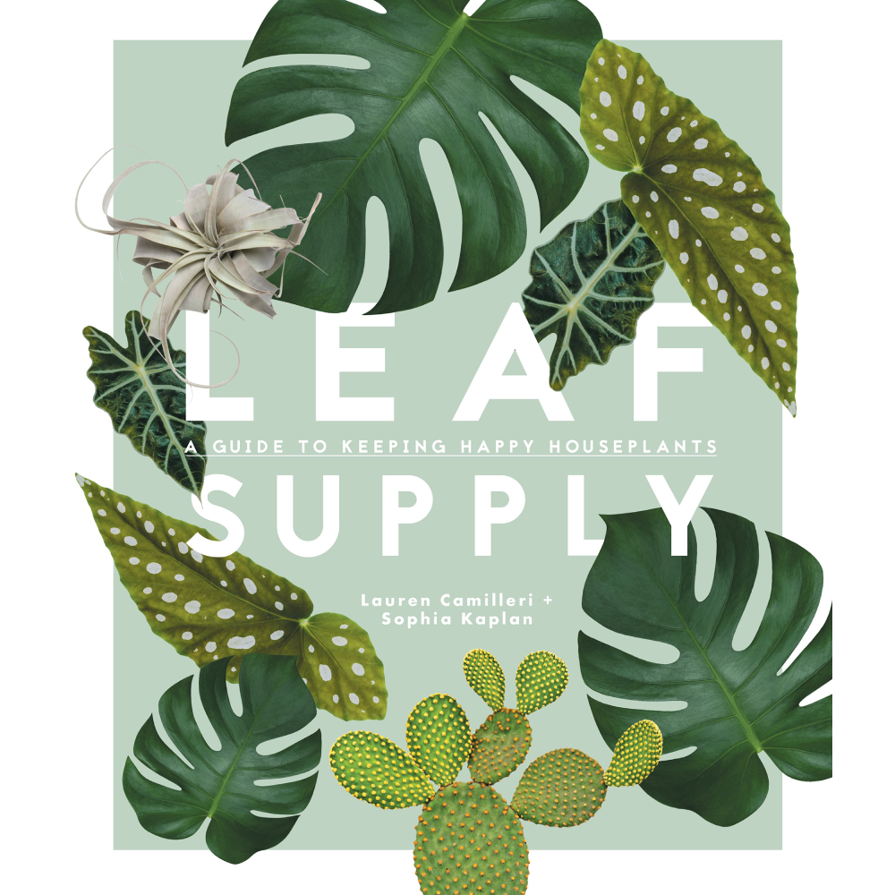 Leaf Supply