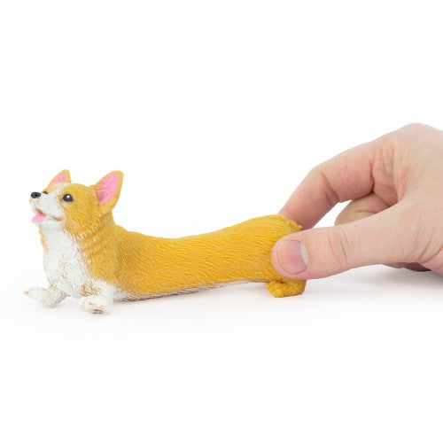 Stretchy Corgi
