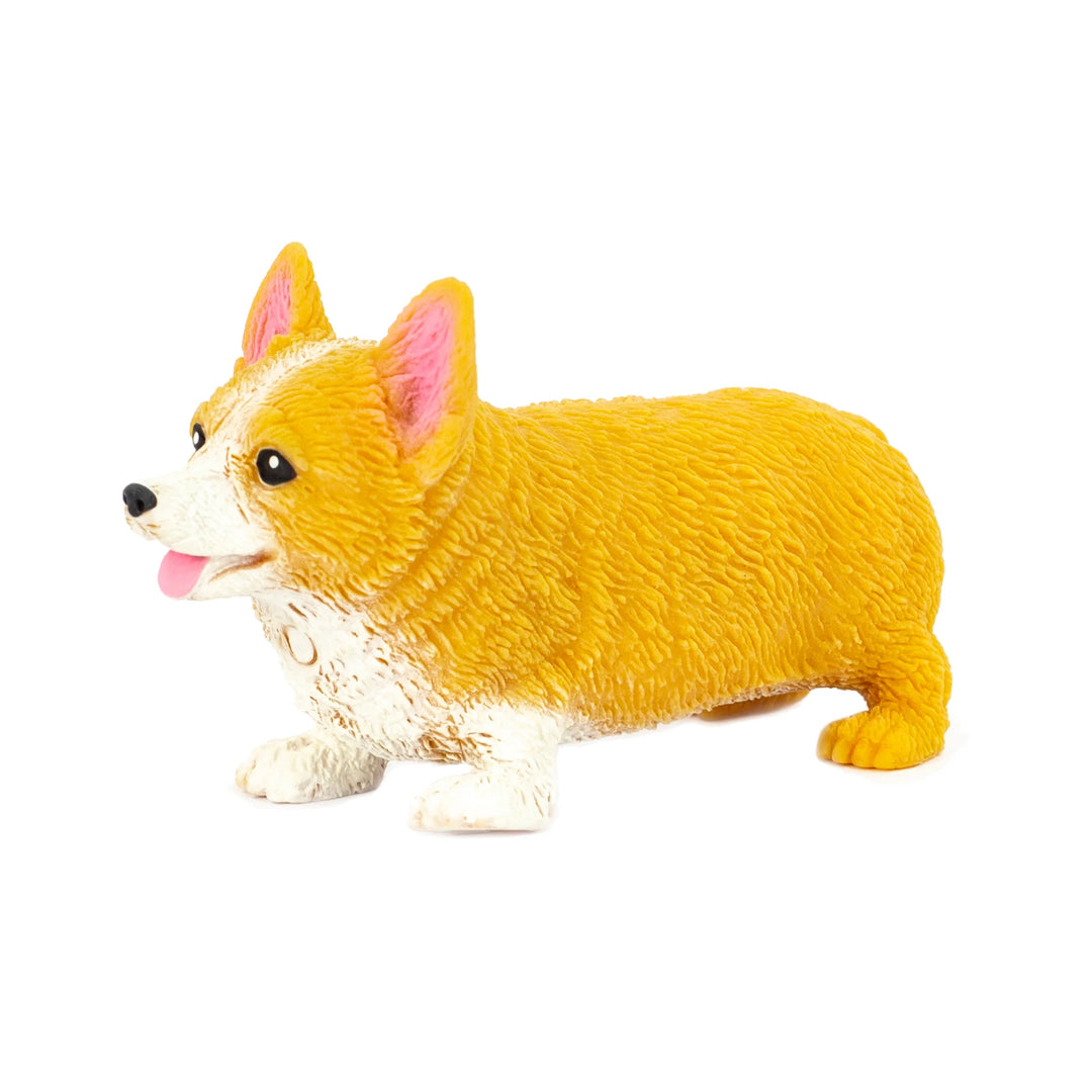 Stretchy Corgi