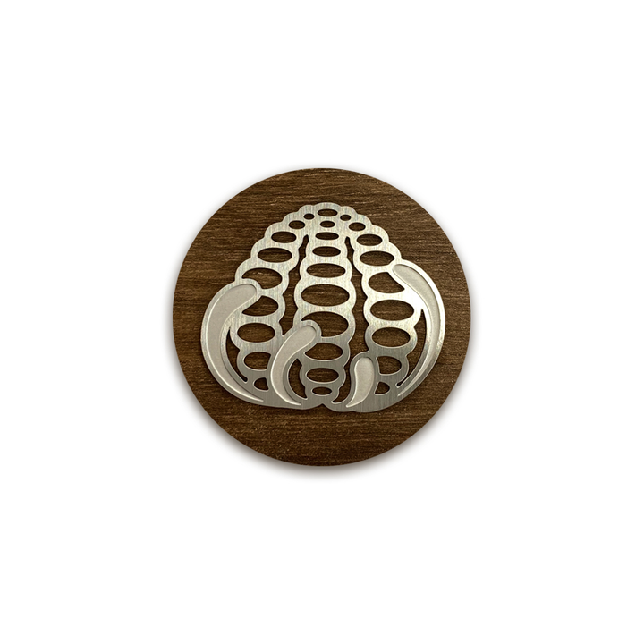 Banksia Brooch