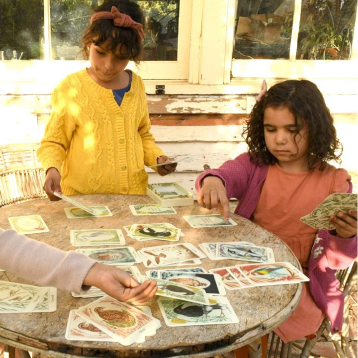 I am a Magpie - Card Game