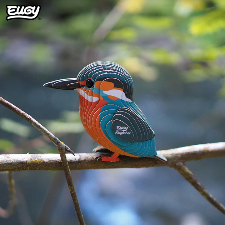 Eugy Kingfisher