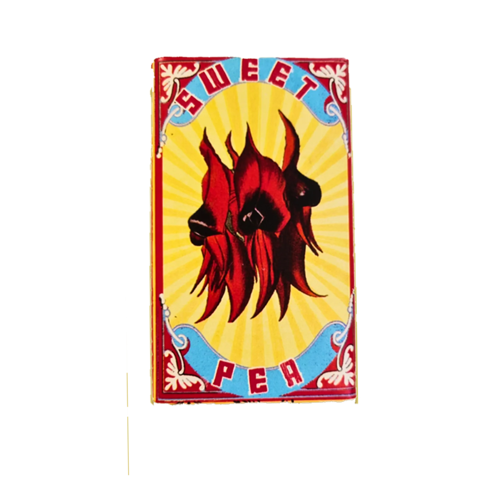 Sweet Desert Pea Soap