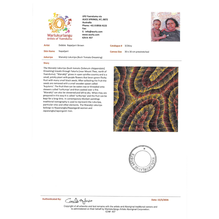 Painting Debbie Napaljarri Brown/Wanakiji Jukurrpa/Bush Tomato Dreaming