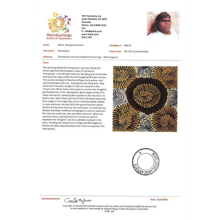 Painting Maria Nampijinpa Brown/Pamapardu Jukurrpa/Flying Ant Dreaming