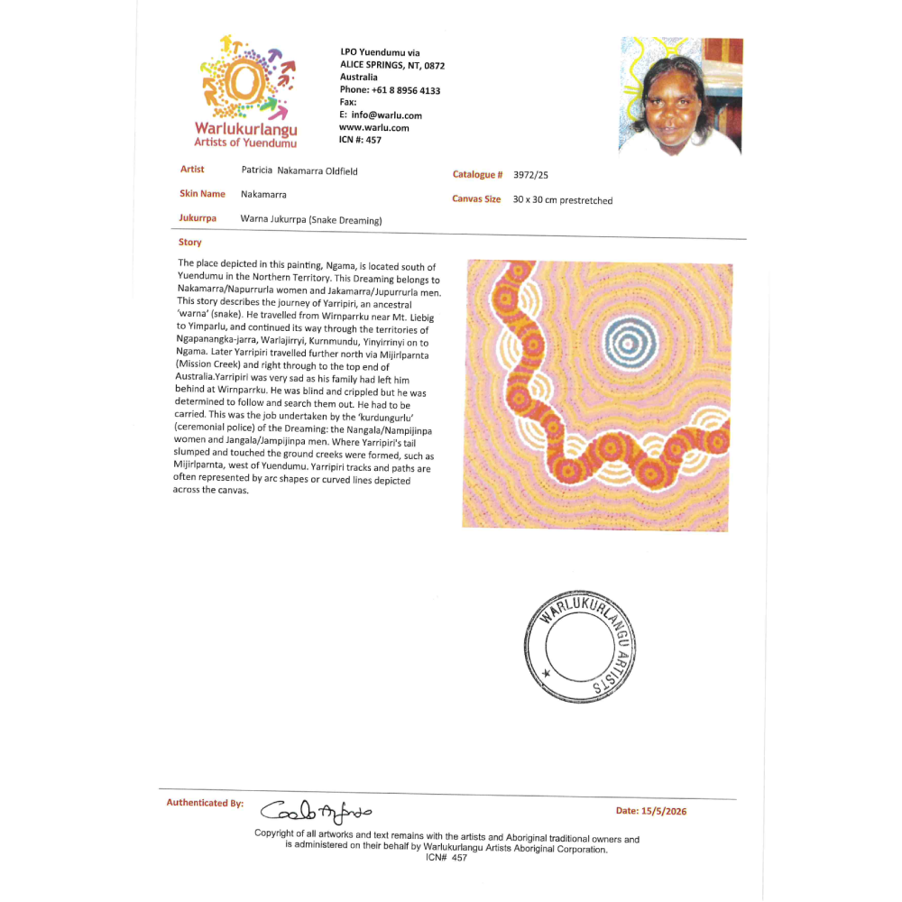 Painting Patricia Nakamarra Oldfield/Warna Jukurrpa/Snake Dreaming