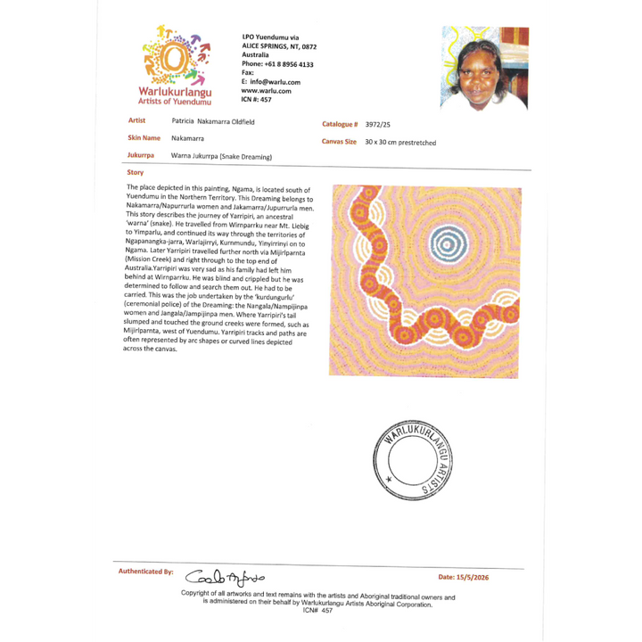 Painting Patricia Nakamarra Oldfield/Warna Jukurrpa/Snake Dreaming