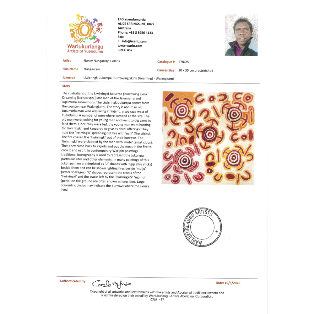 Painting Nancy Nungarrayi Collins/Liwirringki Jukurrpa/Burrowing Skink Dreaming