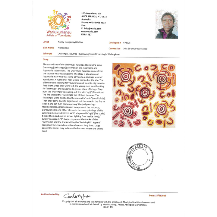 Painting Nancy Nungarrayi Collins/Liwirringki Jukurrpa/Burrowing Skink Dreaming