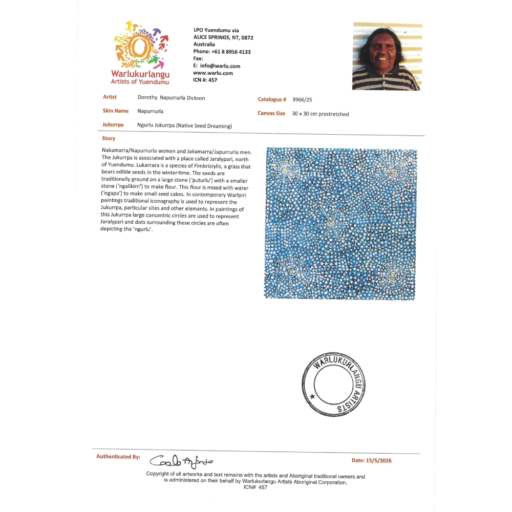 Painting Dorothy Napurrurla Dickson/Ngurlu Jukurrpa/Native Seed Dreaming