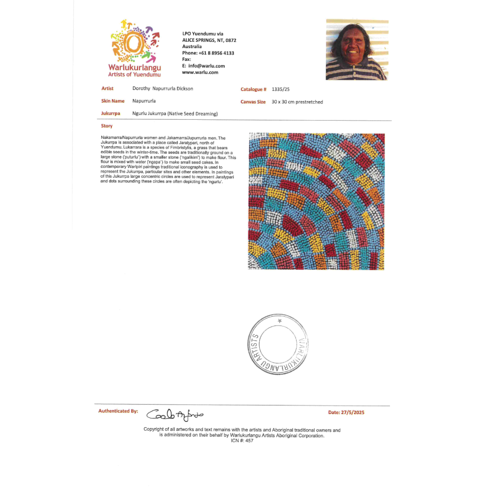 Painting - Ngurlu Jukurrpa - Dorothy Napurrurla Dickson 1335/25