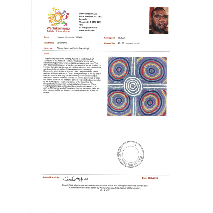 Painting - Warna Jukurrpa - Steven Jakamarra Oldfield 1326/25