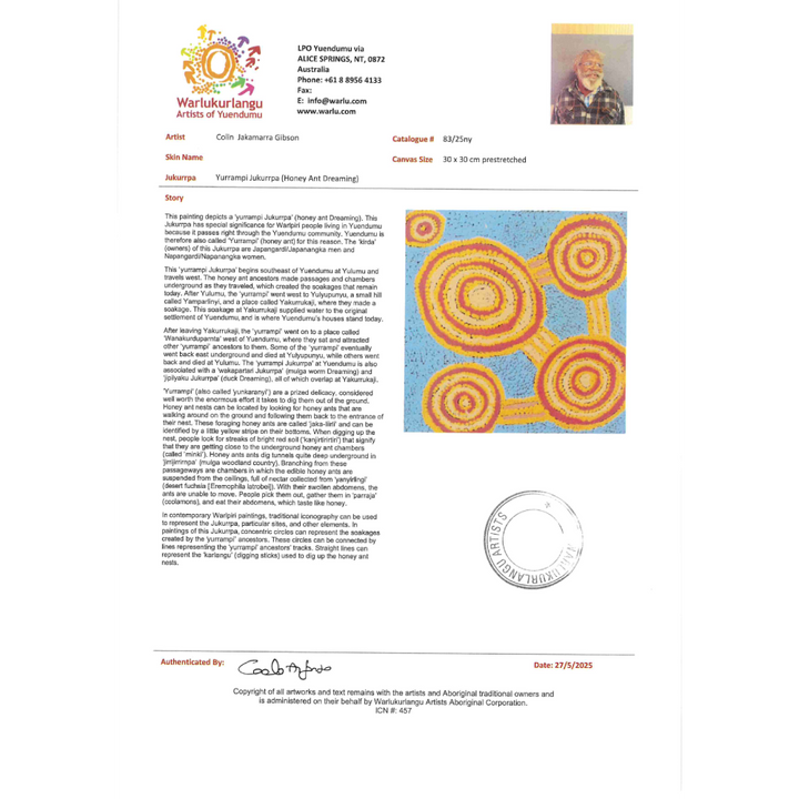 Painting - Yurrampi Jukurrpa - Colin Jakamarra Gibson 83/25ny
