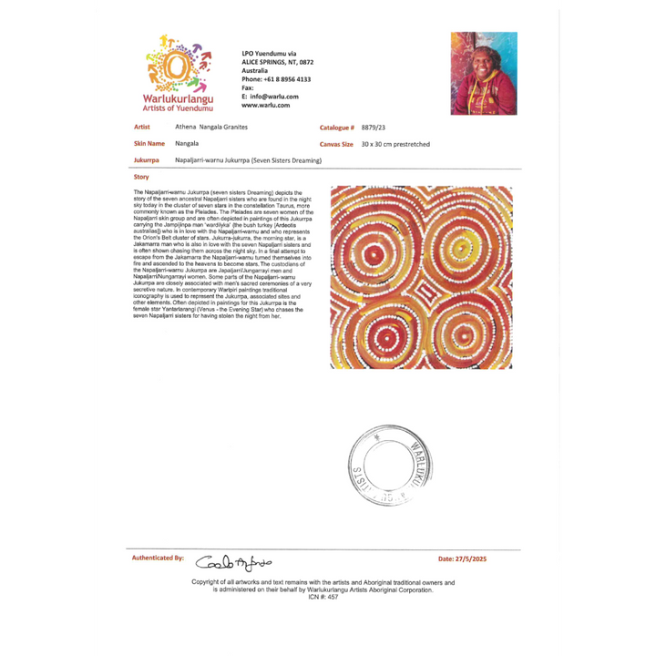 Painting - Napaljarriwarnu Jukurrpa - Athena Nangala Collins 8879/23