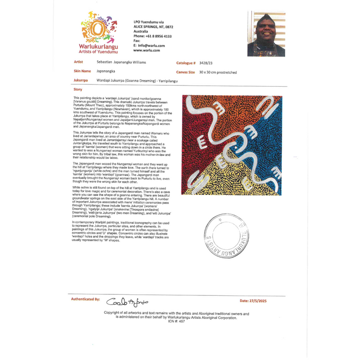 Painting - Wardapi Jukurrpa - Sebastian Japanangka Williams 3428/23