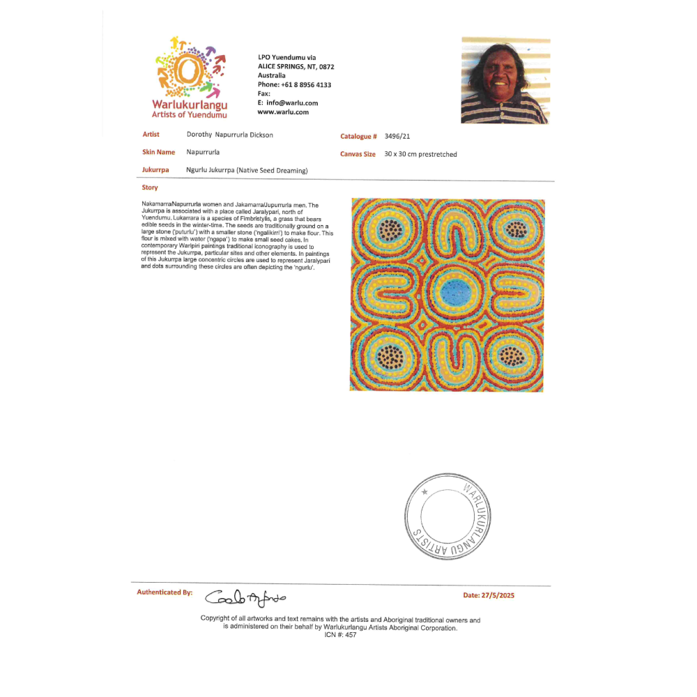 Painting - Ngurlu Jukurrpa - Dorothy Napurrurla Dickson 3496/21