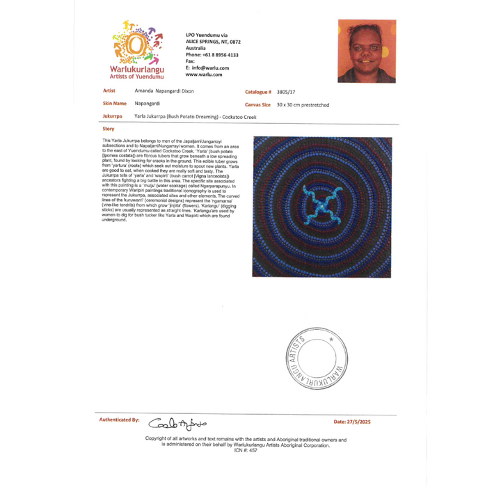 Yarla Jukurrpa - Amanda Napangardi Dixon Artwork