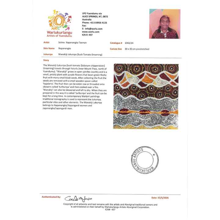 Painting Selma Napanangka Tasman/Wanakiji Jukurrpa/Bush Tomato Dreaming