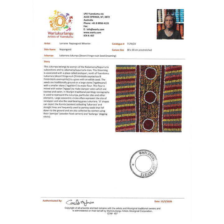 Painting Lorraine Napangardi Wheeler/Lukarrara Jukurrpa/Desert fringe-rush Seed