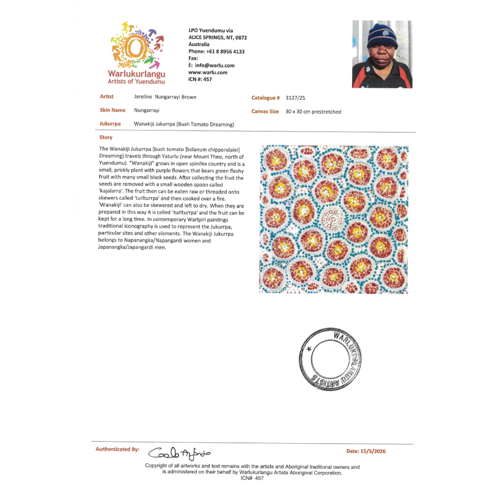 Painting Jereline Nungarrayi Brown/Wanakiji Jukurrpa/Bush Tomato Dreaming