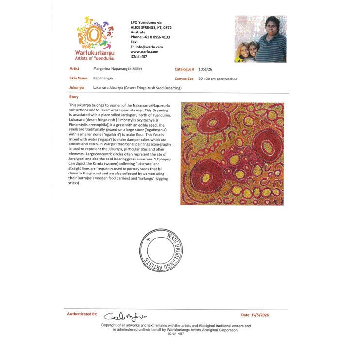 Painting Margarina Napanangka Miller/Lukarrara Jukurrpa/Desert Fringe-Rush Seed