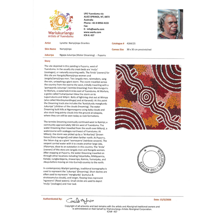Painting Lynette Nampijinpa Granites/Ngapa Jukurrpa/Water Dreaming