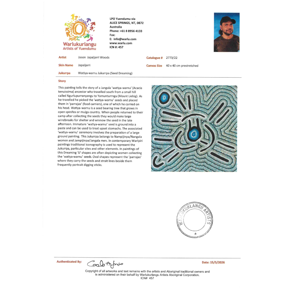 Painting Jason Japalijarri Woods/Watiya-warnu Jukurrpa/Seed Dreaming