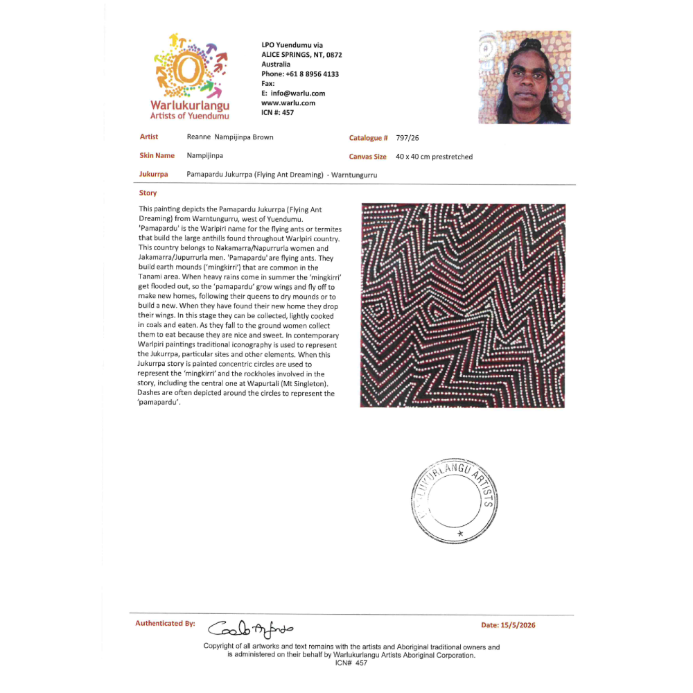 Painting Reanne Nampijinpa Brown/Pamapardu Jukurrpa/Flying Ant Dreaming