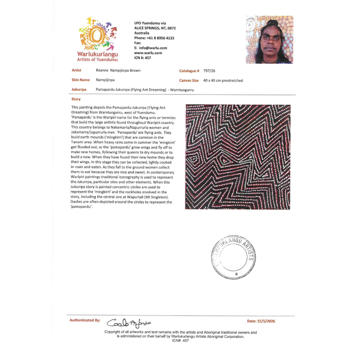 Painting Reanne Nampijinpa Brown/Pamapardu Jukurrpa/Flying Ant Dreaming