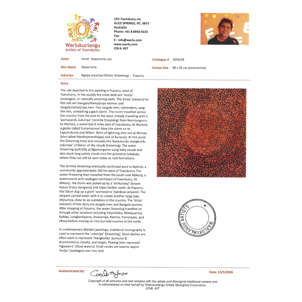 Painting Sarah Napurrurla leo/ Ngpa Jukurrpa/Water Dreaming