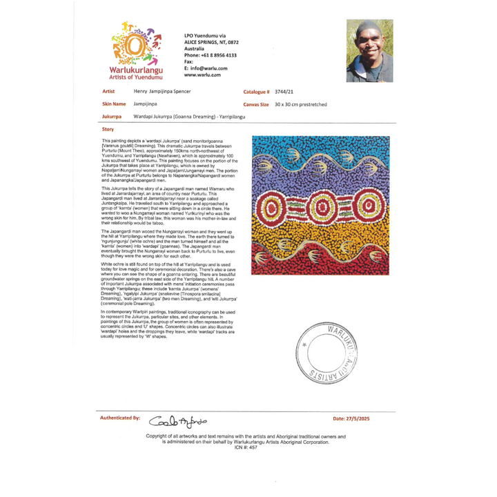 Painting - Wardapi Jukurrpa - Henry Jampijinpa Spencer 3744/21