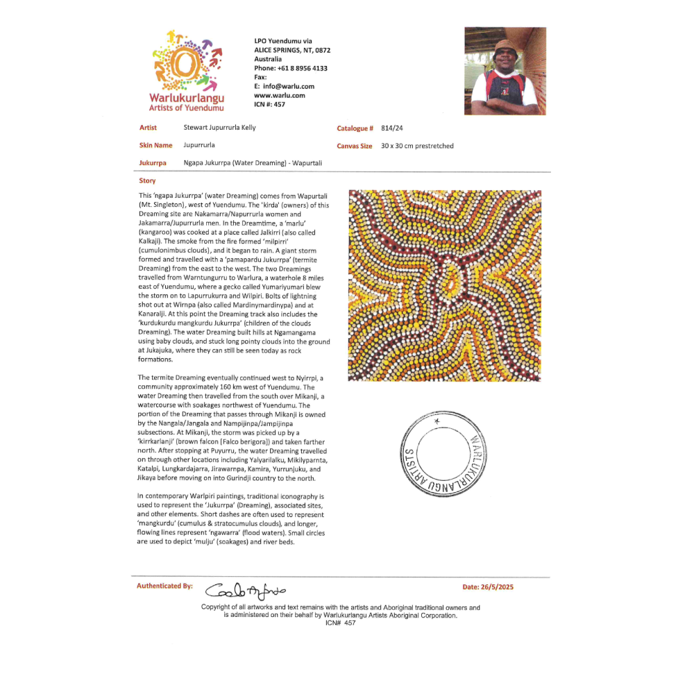 Ngapa Jukurrpa (Water Dreaming) - Wapurtali -  Stewart Jupurrurla 814/24