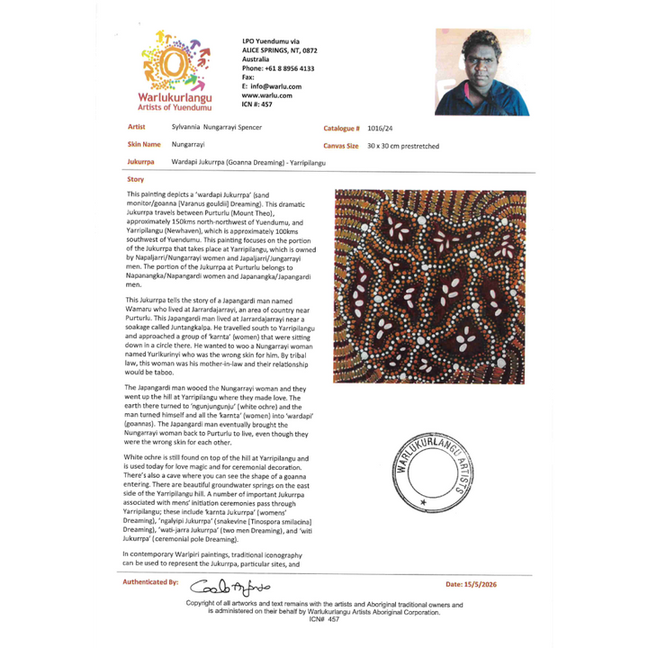 Painting Sylvannia Nungarrayi Spencer/Wardapi Jukurrpa/Goanna Dreaming